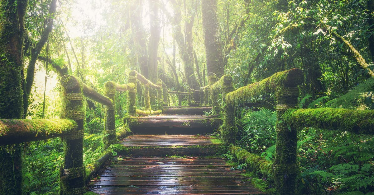 Is there a way to re-crystallize or temper goat butter? - Wooden Bridge on Rainforest Is there a way to re-crystallize or temper goat butter? - Wooden Bridge on Rainforest