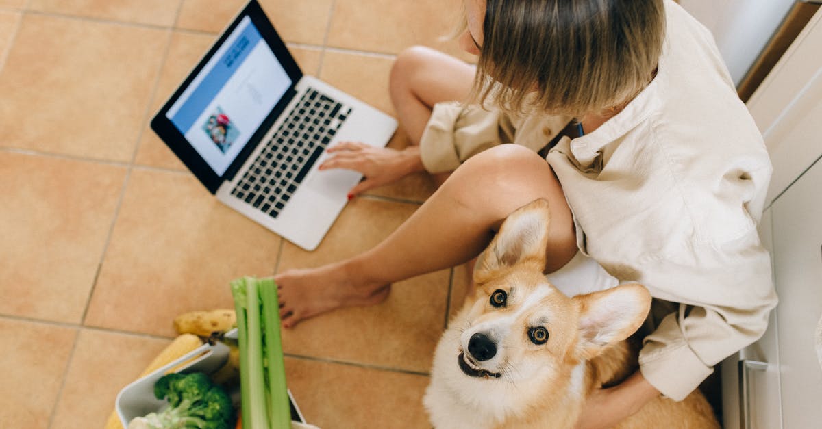 Is there a website on how to store specific foods? - A Cute Dog Looking Up while Sitting Beside a Person Using Laptop Is there a website on how to store specific foods? - A Cute Dog Looking Up while Sitting Beside a Person Using Laptop
