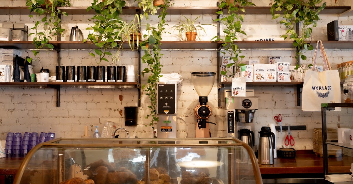 Is there a website on how to store specific foods? - Green Plant on Clear Glass Container Is there a website on how to store specific foods? - Green Plant on Clear Glass Container