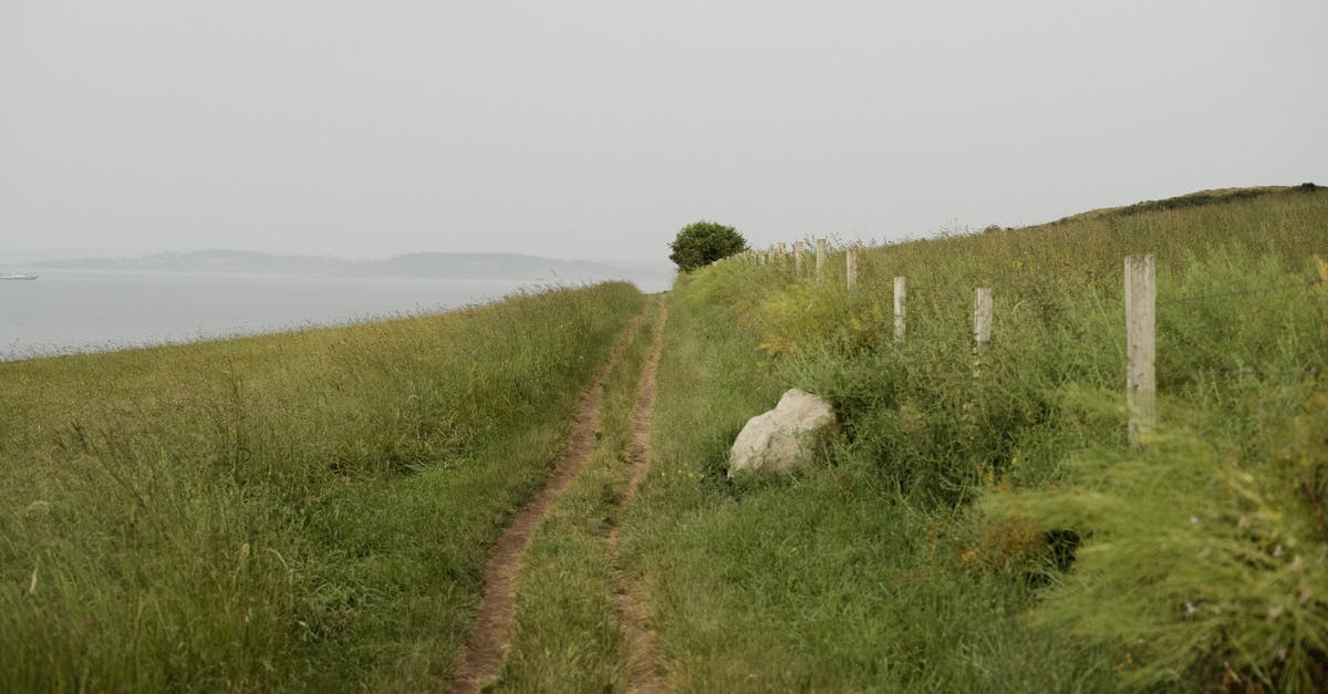 Is there an ultimate way to make a rotatable pizza stone? - Narrow path in green field Is there an ultimate way to make a rotatable pizza stone? - Narrow path in green field