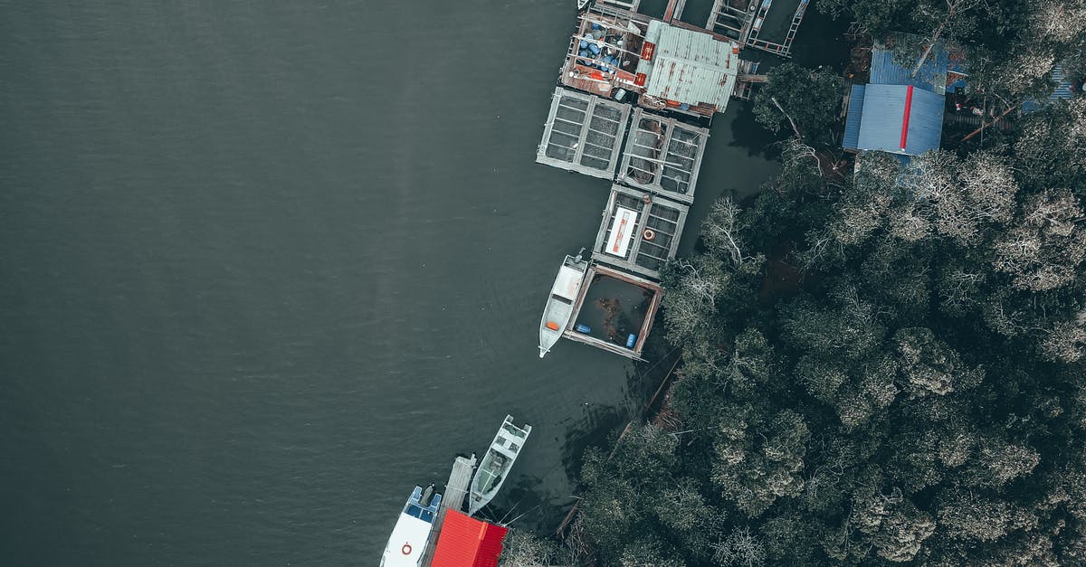 Is there any difference in nutritional value between a wild caught fish and farmed fish? - Drone view of fishing boats and cages for seafood farming on shore of river covered with dense woods