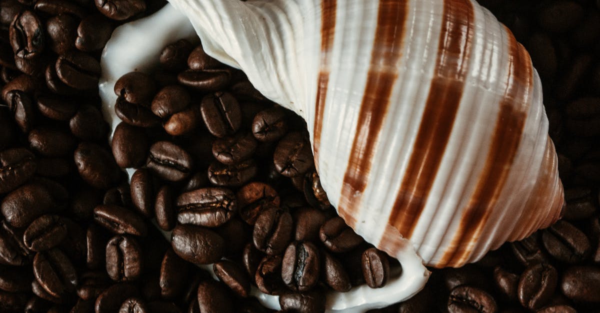 Is there any food ingredient that tastes like diesel smells? - Seashell placed among coffee beans Is there any food ingredient that tastes like diesel smells? - Seashell placed among coffee beans