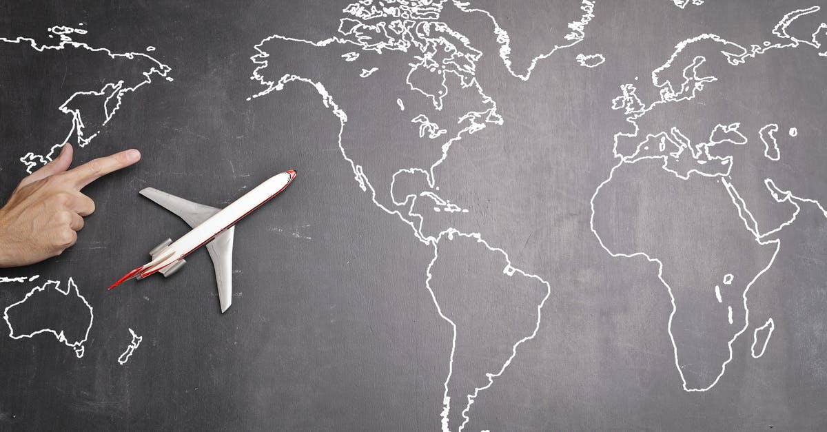 Is there any point in blanching kale directly before cooking? - Top view of miniature airplane placed on over gray world map with crop hand of anonymous person indicating direction representing travel concept
