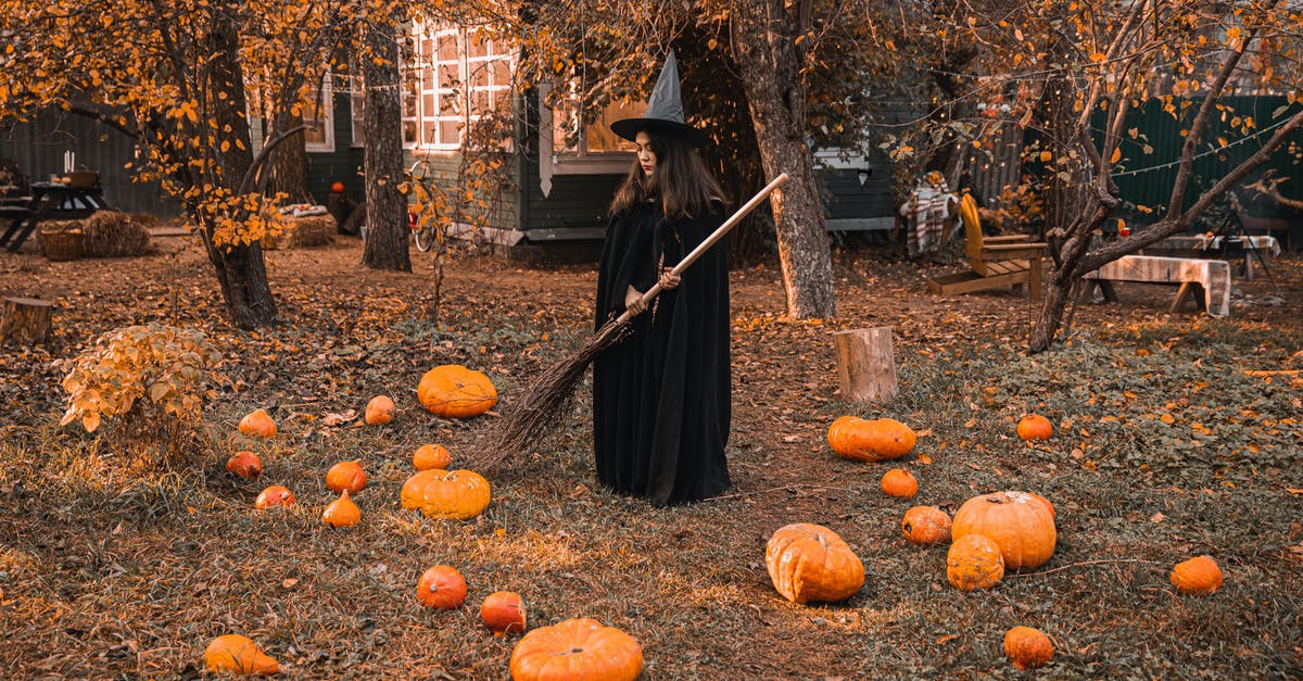 Is there any way to make jack-o-lantern pumpkins worth eating? - Woman in Black Dress Standing on Brown Dried Leaves Is there any way to make jack-o-lantern pumpkins worth eating? - Woman in Black Dress Standing on Brown Dried Leaves