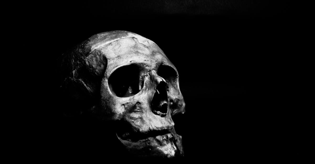 Is there such a thing as a bone cleaver? - Grayscale Photography of Human Skull Is there such a thing as a bone cleaver? - Grayscale Photography of Human Skull