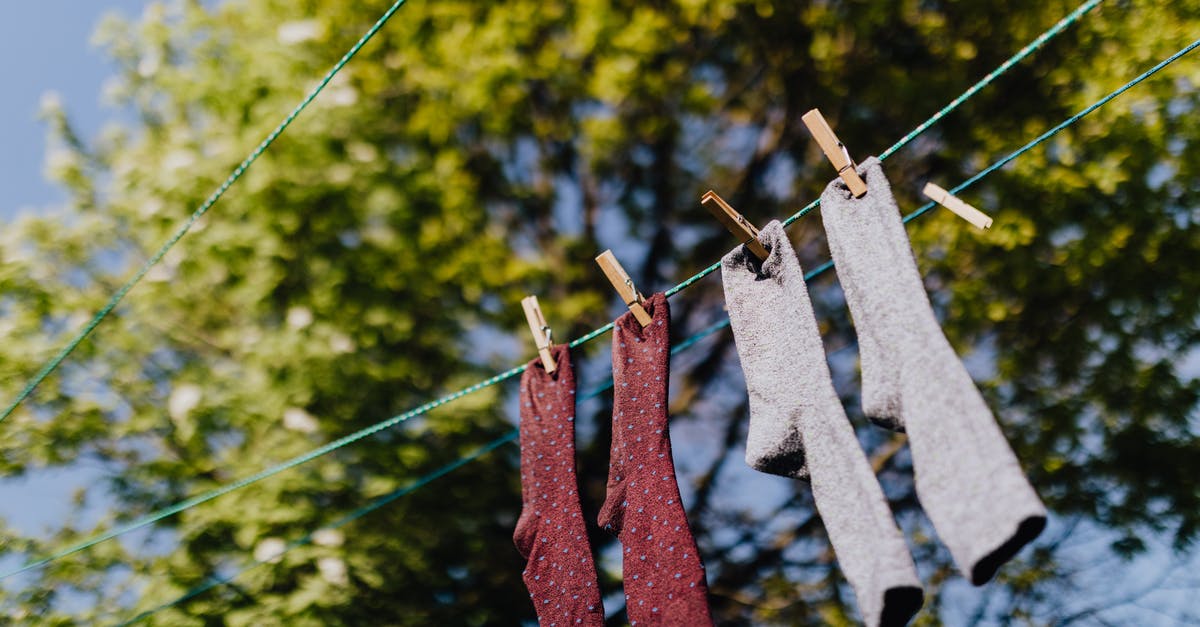 Is there such thing as "active dry sourdough-variety yeast"? - From below of multicolored socks hanging and drying on rope in row with clothespins under green branches of tree in sunny summer day Is there such thing as "active dry sourdough-variety yeast"? - From below of multicolored socks hanging and drying on rope in row with clothespins under green branches of tree in sunny summer day