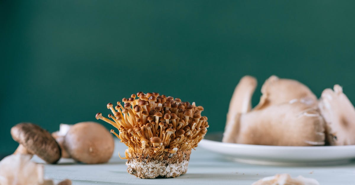 Is this the centre of the stem of a mushroom or different kind of mushroom? - Nameko brown tiny mushrooms on table Is this the centre of the stem of a mushroom or different kind of mushroom? - Nameko brown tiny mushrooms on table