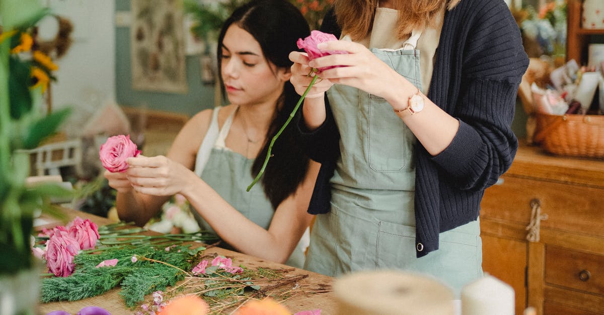 Kabobs to Fajitas - how to make the meat tender - Positive young female florists wearing aprons removing leaves from flower stems before arranging bouquet in modern floristry store Kabobs to Fajitas - how to make the meat tender - Positive young female florists wearing aprons removing leaves from flower stems before arranging bouquet in modern floristry store