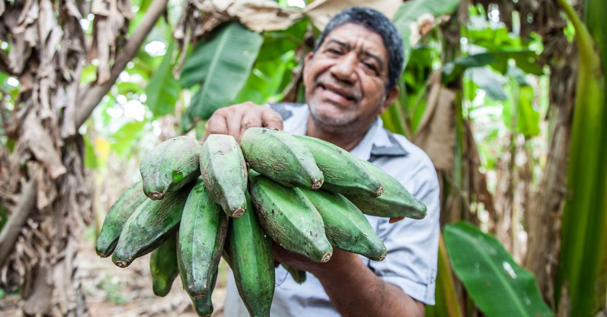 Keeping bananas fresh for longer - Man in White Button Up Shirt Holding Green Bananas Keeping bananas fresh for longer - Man in White Button Up Shirt Holding Green Bananas