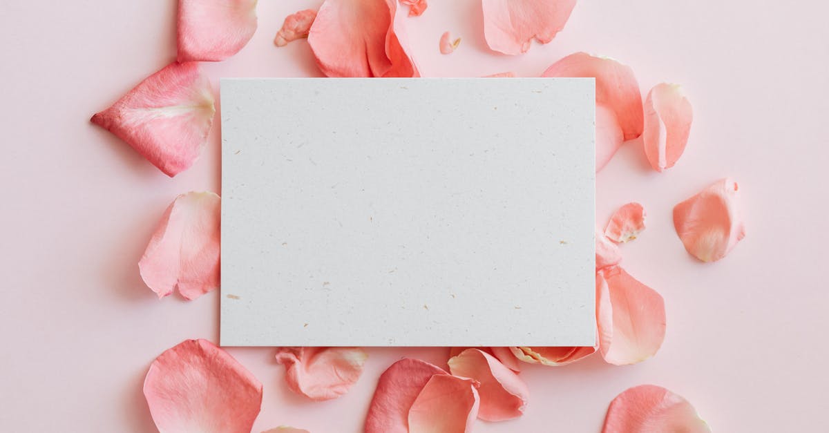Keeping rice paper spring rolls moist - Composition of paper with flowers petals on table Keeping rice paper spring rolls moist - Composition of paper with flowers petals on table