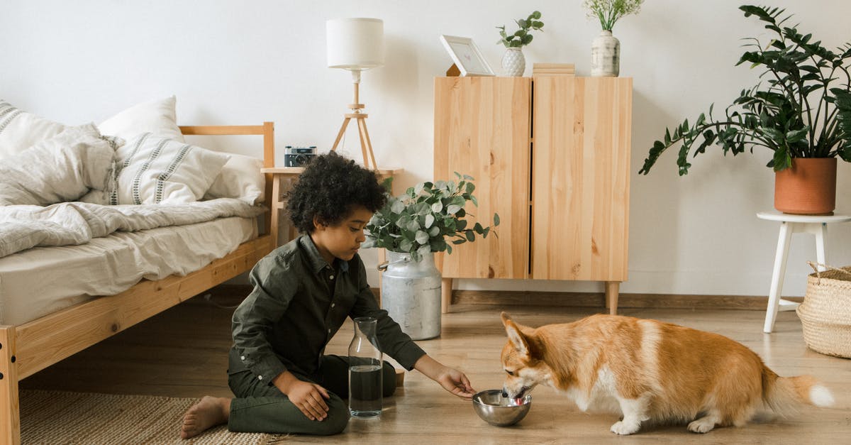 Kefir sensitivity to drinking tap water? - Boy Giving Water to Dog Kefir sensitivity to drinking tap water? - Boy Giving Water to Dog