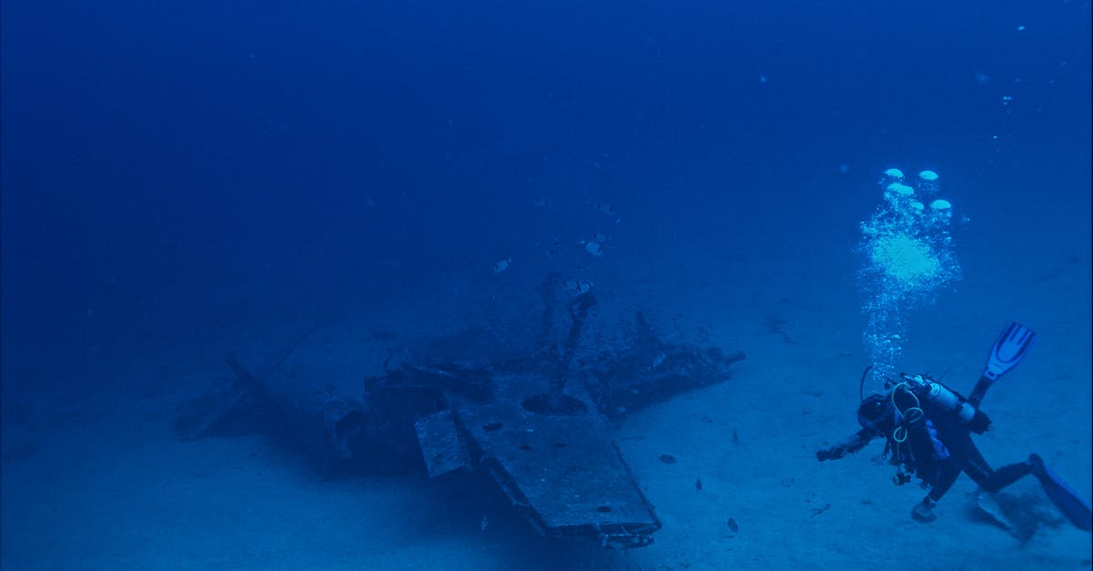 Kimchi air bubble removal - Anonymous diver swimming near sunken plane Kimchi air bubble removal - Anonymous diver swimming near sunken plane