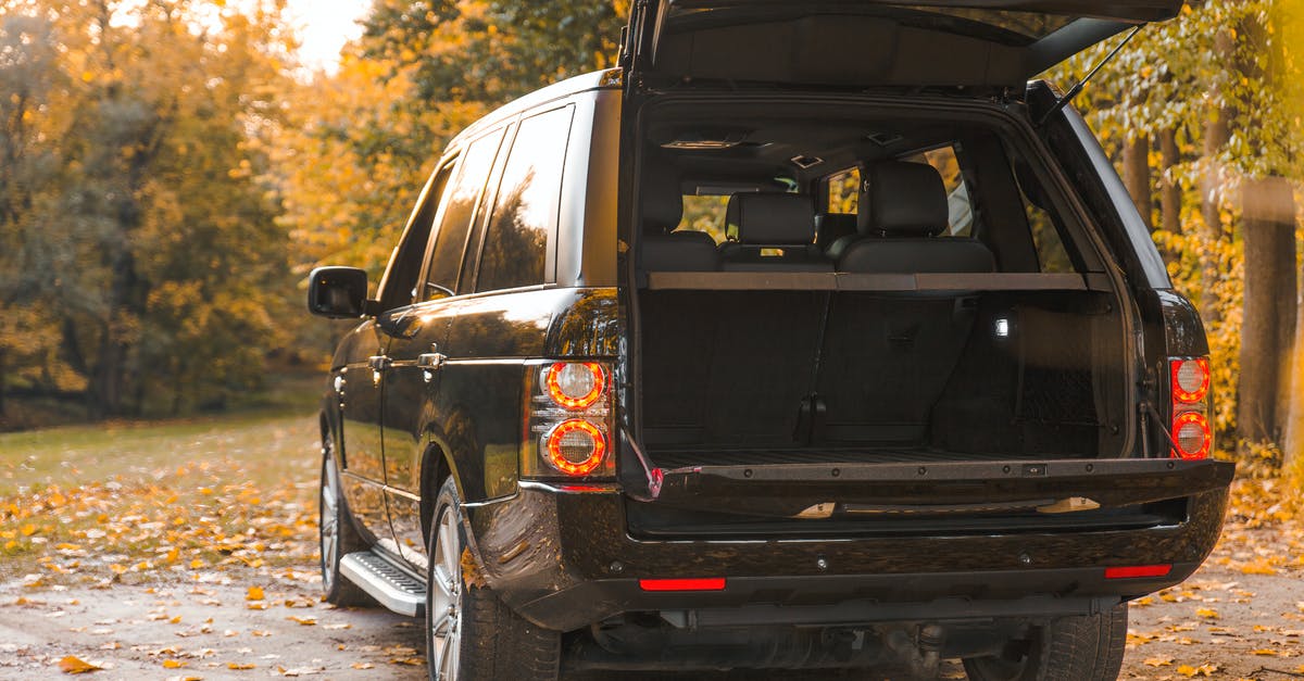 Leaves that fall off Brussels Sprouts, any reason not to cook? - Black Car Parked on Off Road Leaves that fall off Brussels Sprouts, any reason not to cook? - Black Car Parked on Off Road