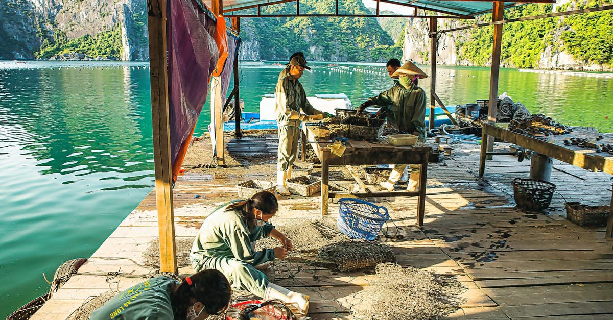 Making sauerkraut with fish sauce instead of salt? - People Making Fishnets on a Wooden PierĀ Making sauerkraut with fish sauce instead of salt? - People Making Fishnets on a Wooden PierĀ