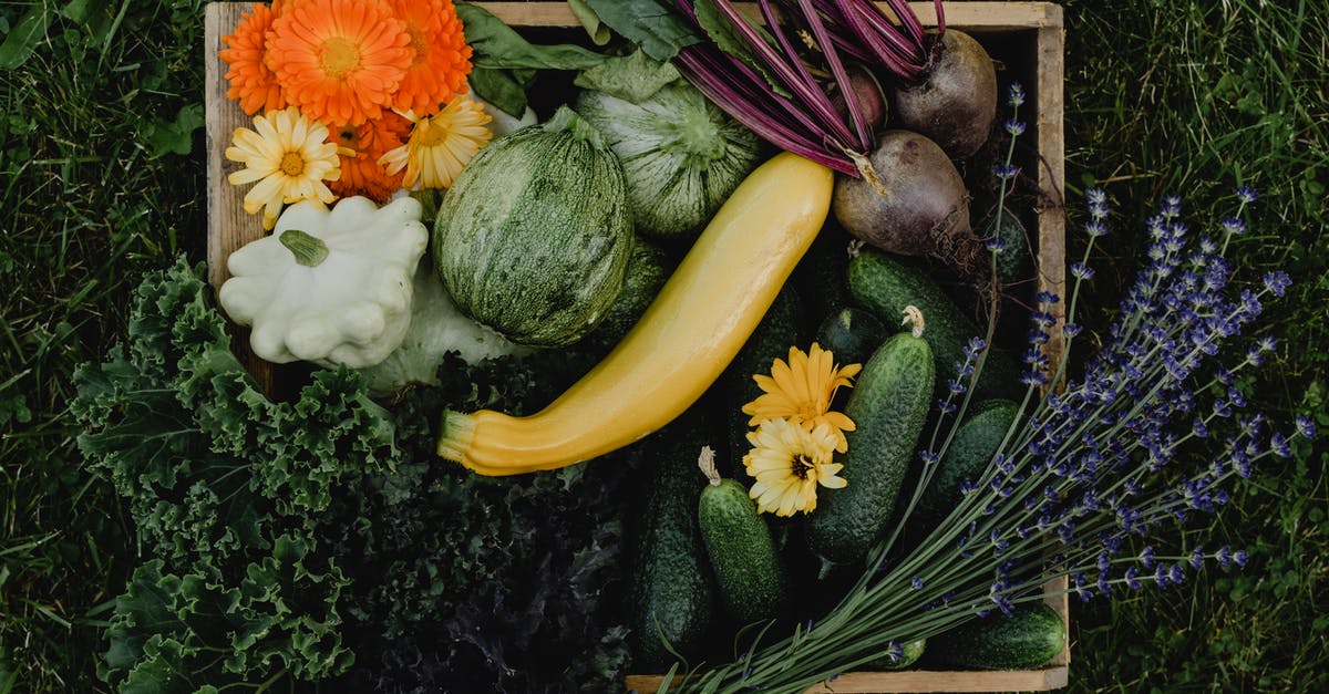 marinated vegetables on food dehydrators? - Yellow White and Orange Flowers