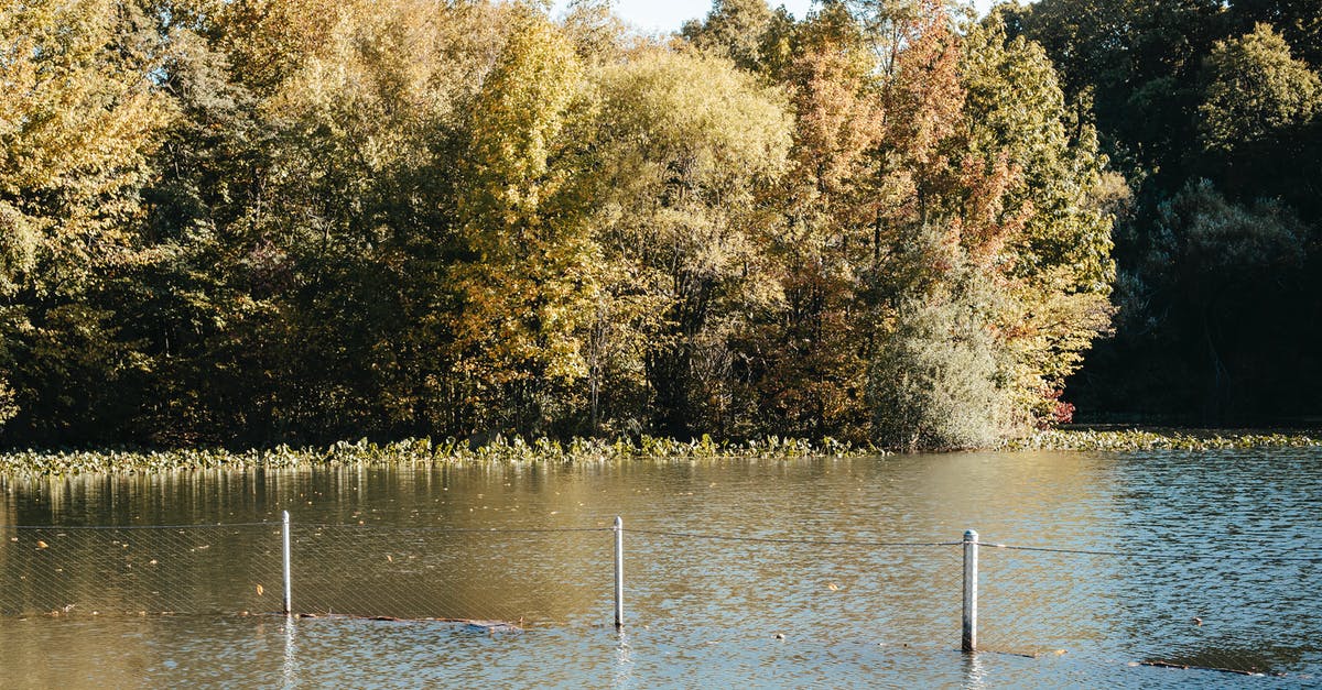 Mascarpone left outside fridge overnight - still usable? - Calm pond with pillars in nature Mascarpone left outside fridge overnight - still usable? - Calm pond with pillars in nature