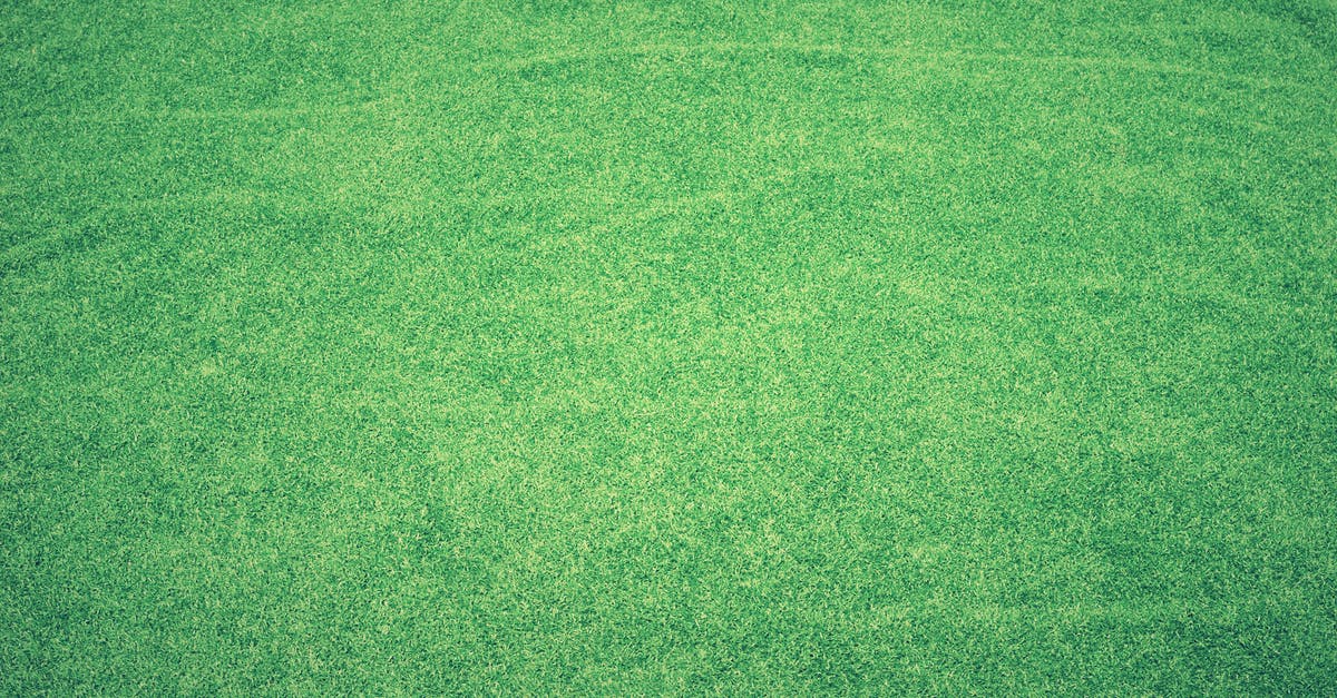 Matcha cheesecake can't keep the bright green color - Green Grass Field Matcha cheesecake can't keep the bright green color - Green Grass Field