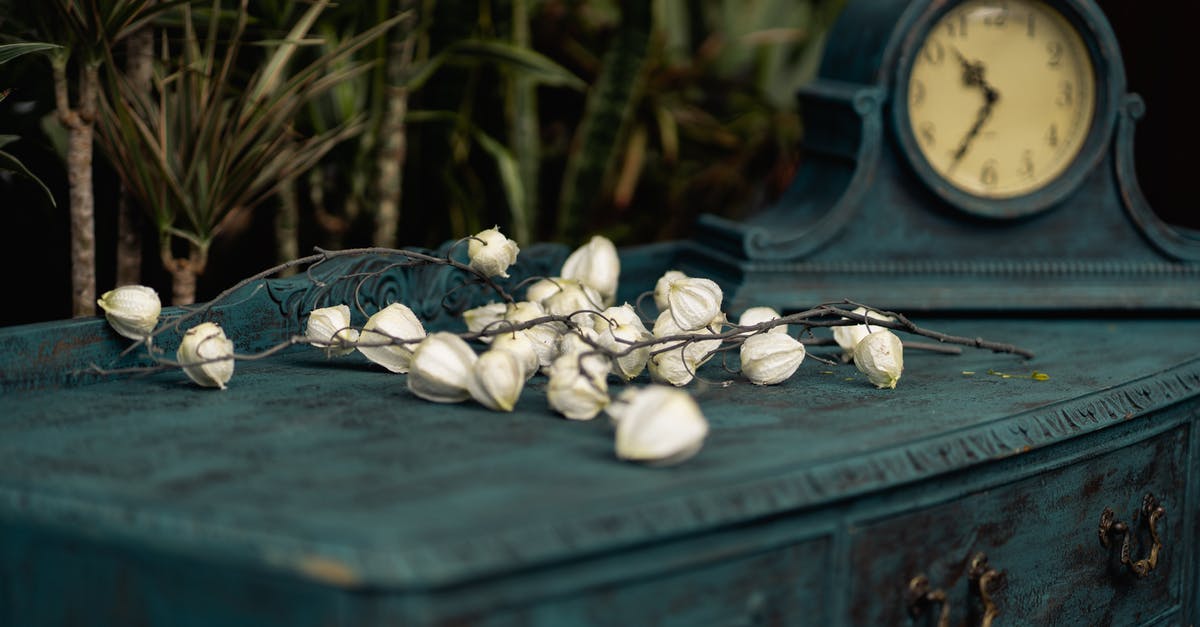 Microwave more than one container at a time - White-petaled Flowers on Blue Wooden Desk Beside Mantel Clock Microwave more than one container at a time - White-petaled Flowers on Blue Wooden Desk Beside Mantel Clock
