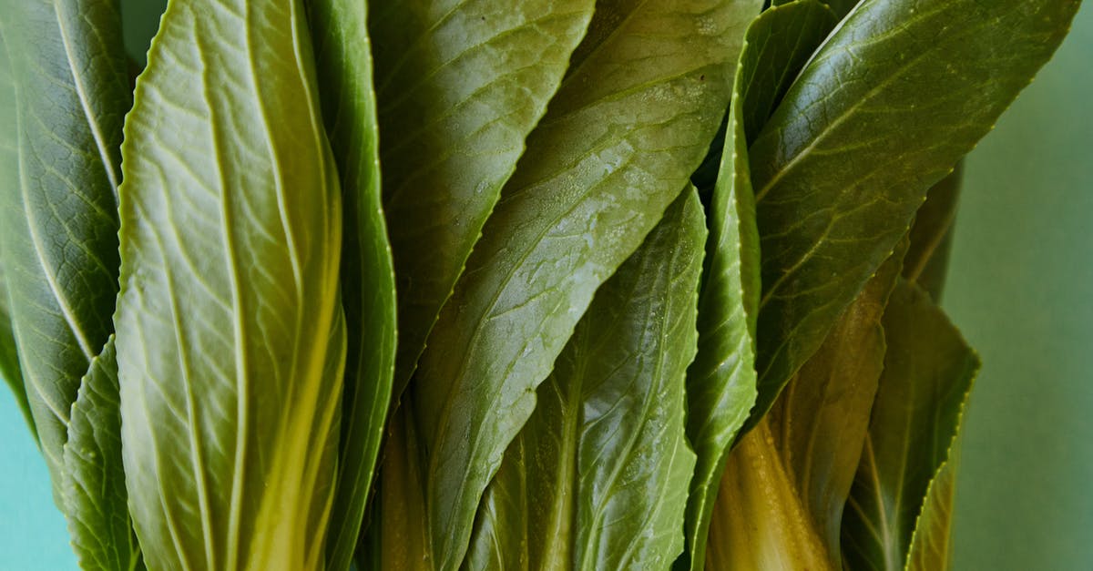Molasses - “Full Flavor” vs “Mild Flavor” - Pok choi with fresh green leaves Molasses - “Full Flavor” vs “Mild Flavor” - Pok choi with fresh green leaves
