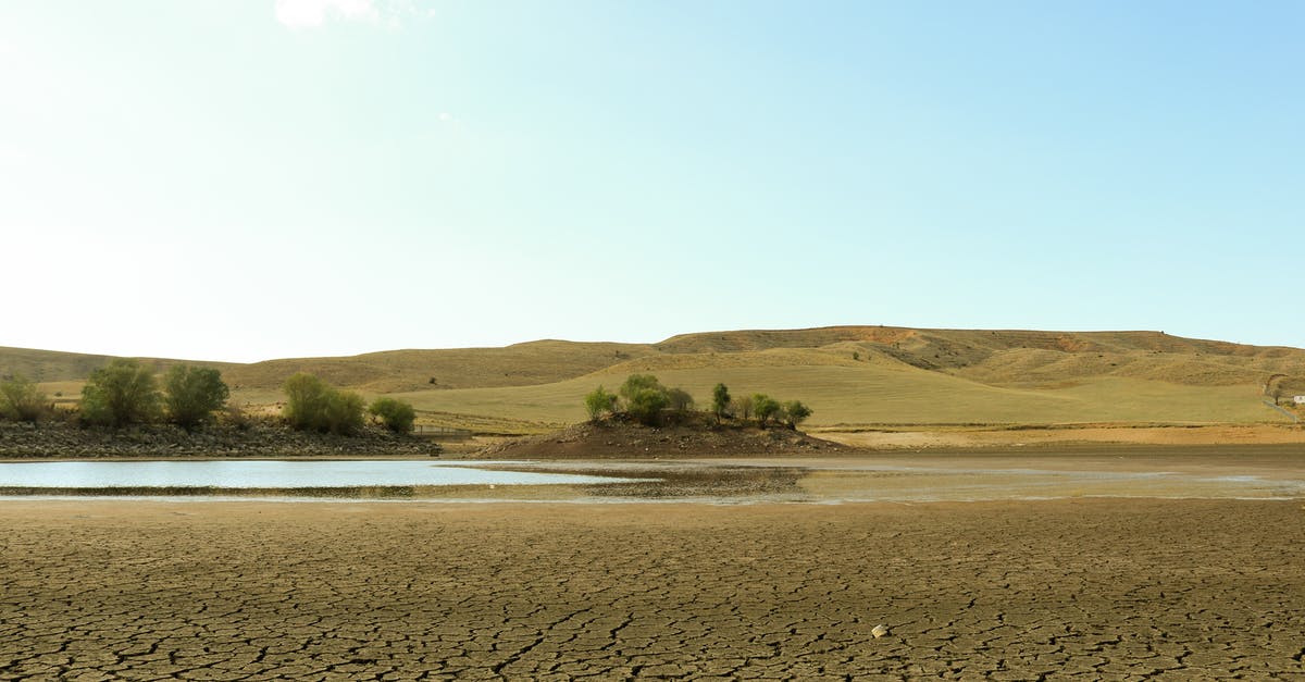Mold or dry sourdough starter? (pic included) - Free stock photo of beach, dawn, desert Mold or dry sourdough starter? (pic included) - Free stock photo of beach, dawn, desert