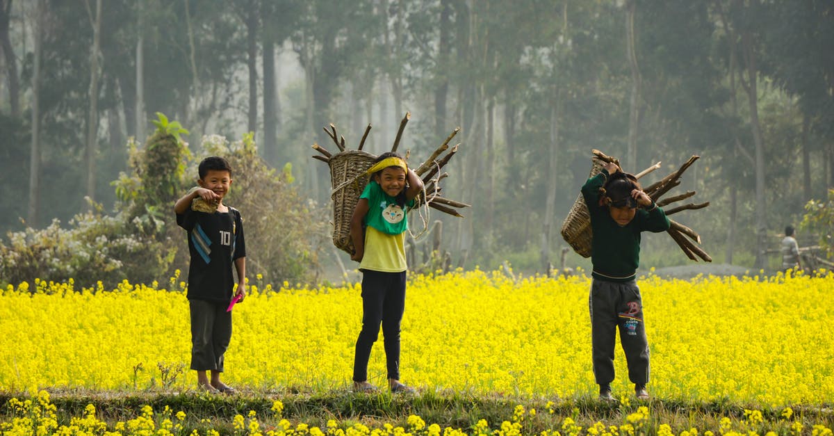 Mustard substitute - Three Boy's Standing Holding Branches Mustard substitute - Three Boy's Standing Holding Branches