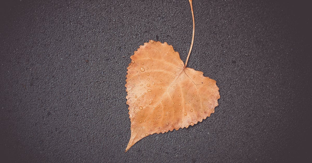 My ginger is moist and floppy... has it spoiled? - A Wet Brown Leaf on a Gray Surface