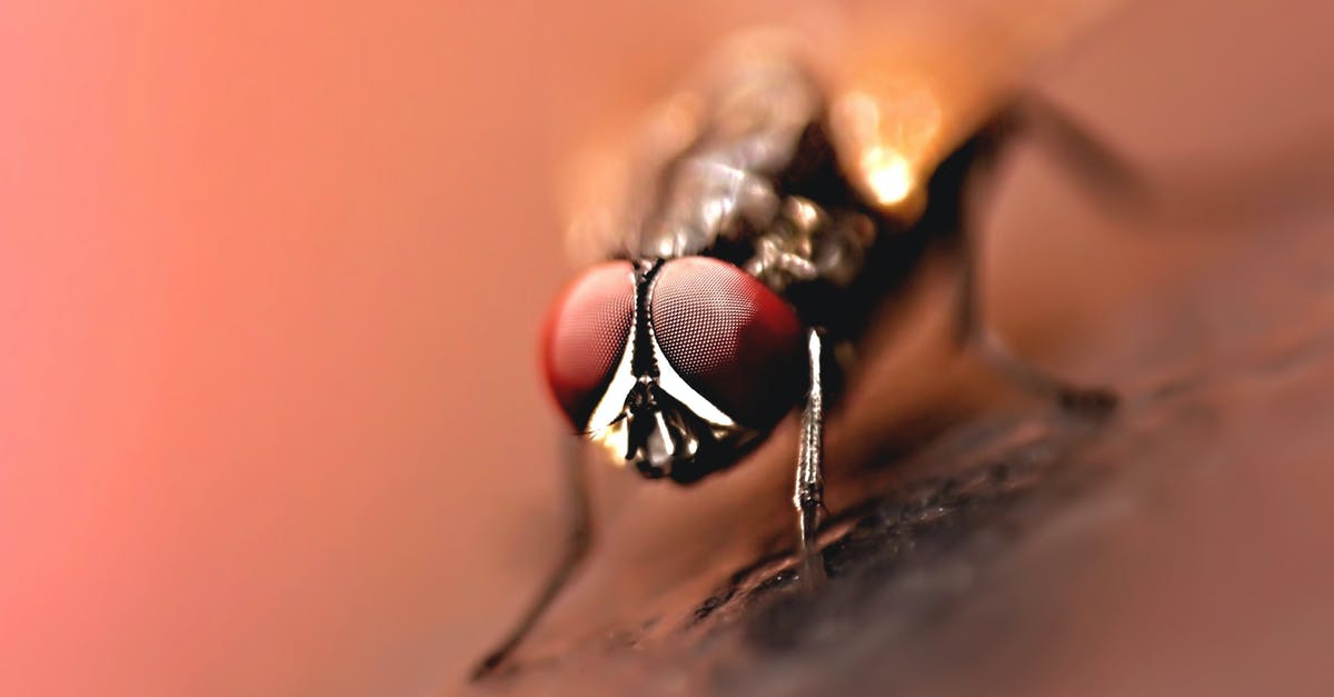 My red potatoes seem to have an unusually high amount of eyes. Should I cut them out? - Close-up Photography of Brown Wasp