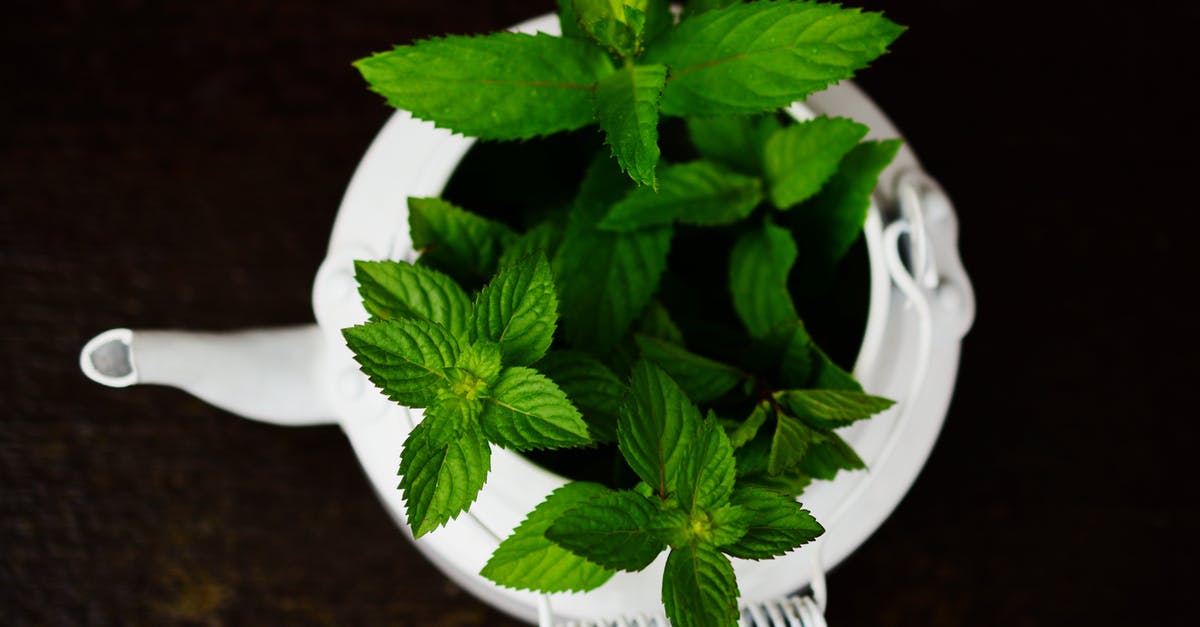 Name of an herb or spice that is small, dark spines [closed] - Green Plant