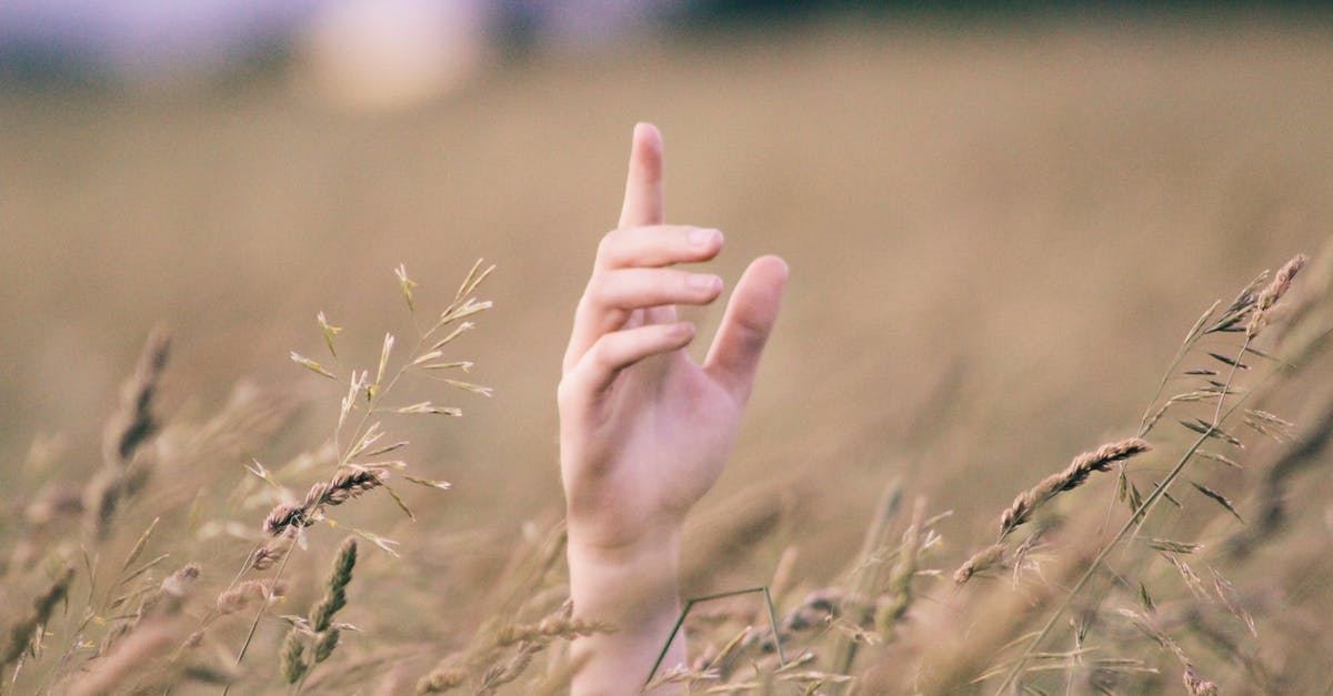 Need to dry grain before milling? - Human Hand Near Brown Grains at Daytime Need to dry grain before milling? - Human Hand Near Brown Grains at Daytime