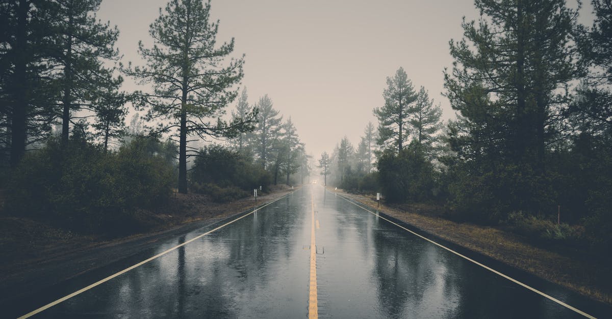 No broiler - is there a way to fake it? - Road Between Pine Trees No broiler - is there a way to fake it? - Road Between Pine Trees