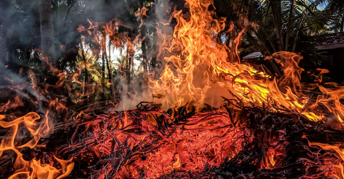 Not Burning a Wood Fire Pizza - Orange Fire Not Burning a Wood Fire Pizza - Orange Fire
