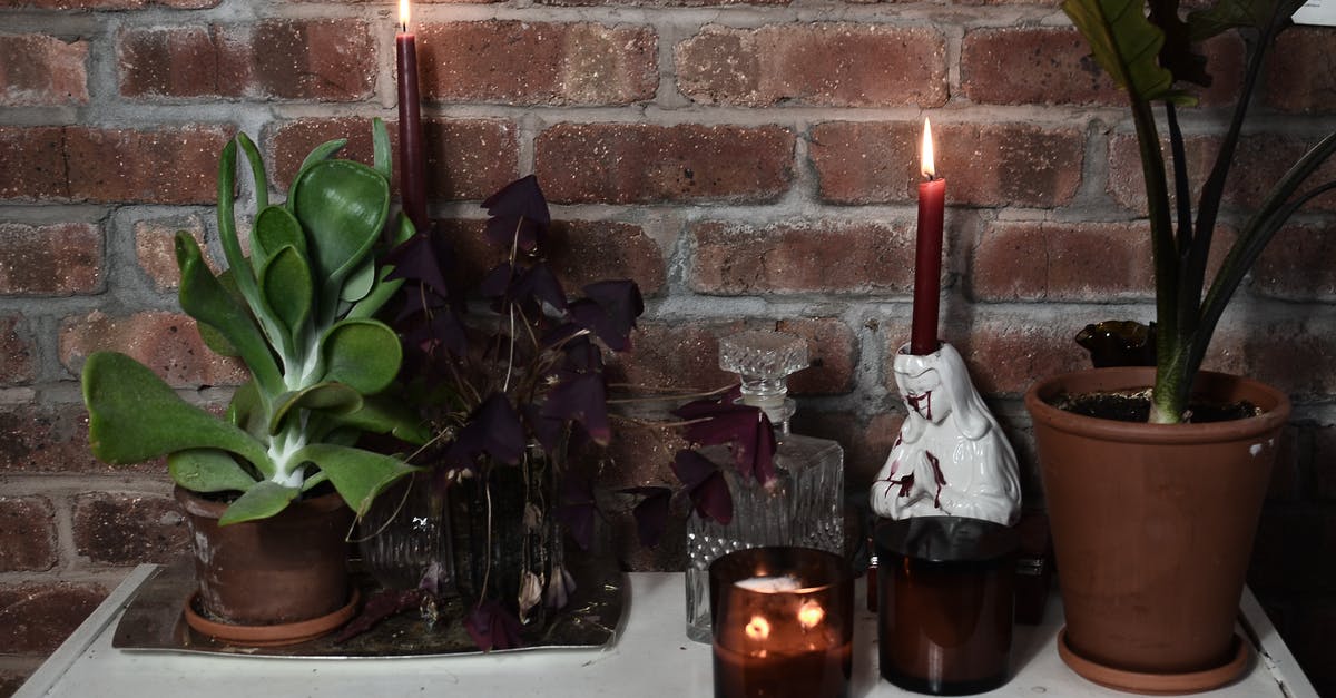 Omelette stuck to pot on low fire with extra virgin olive oil [duplicate] - Burning candles near potted plants on table in house