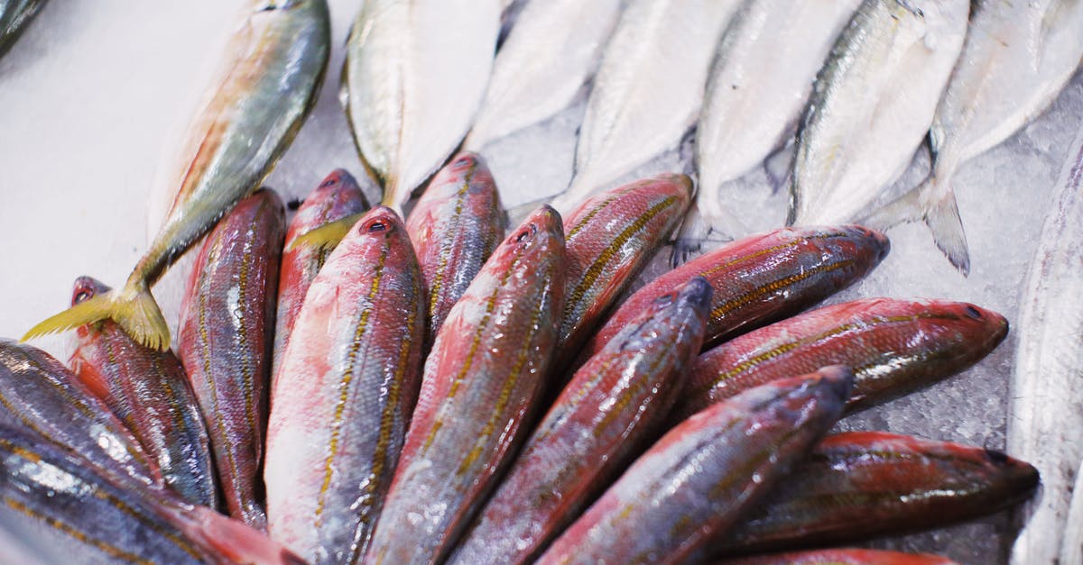 Overnight storing of raw fish - Assorted fresh fish placed on counter Overnight storing of raw fish - Assorted fresh fish placed on counter
