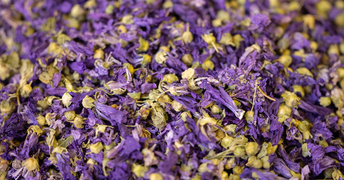 Pastrami dry cure calculator - Dried Mallow Flowers in Abundance Pastrami dry cure calculator - Dried Mallow Flowers in Abundance