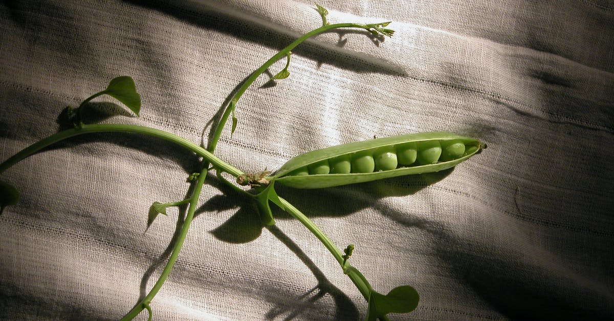 Peas with onions - Green Plant on Gray Textile Peas with onions - Green Plant on Gray Textile