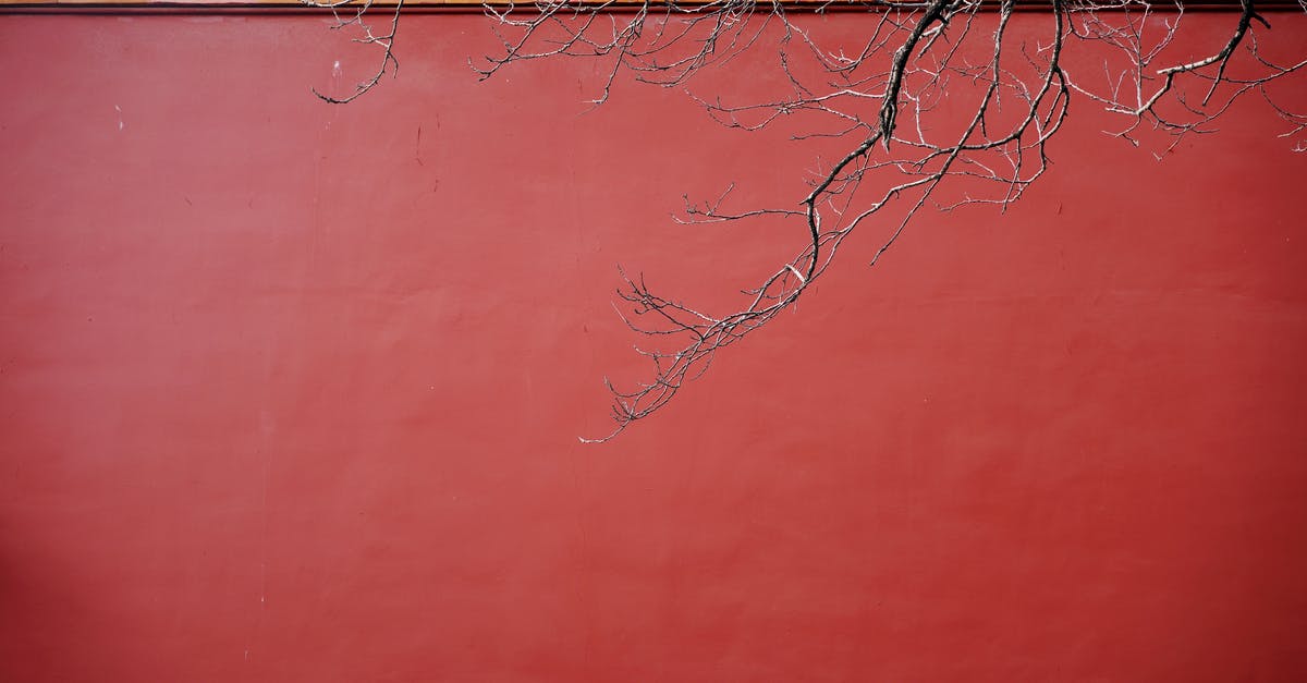 Peeling a Drumstick - Red Wall of a Building Peeling a Drumstick - Red Wall of a Building