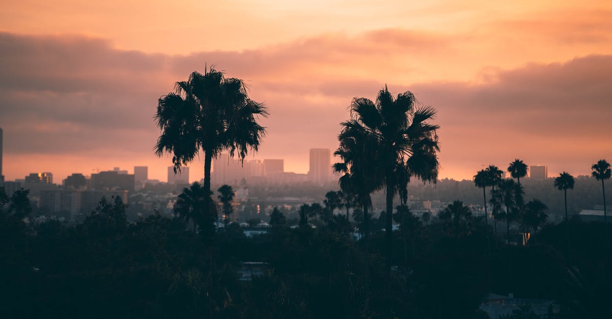 Pimenton ahumado vs. Pimenton de la vera - City Buildings and Trees during Golden Hour