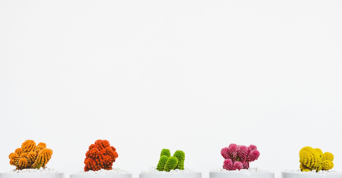 Pink curing salt turned yellow - safe to use? - Five Assorted-color Cacti Pink curing salt turned yellow - safe to use? - Five Assorted-color Cacti