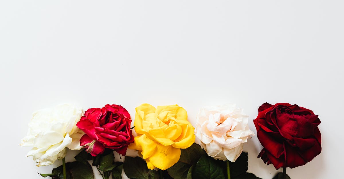 Pink curing salt turned yellow - safe to use? - Assorted Colors of Roses Pink curing salt turned yellow - safe to use? - Assorted Colors of Roses
