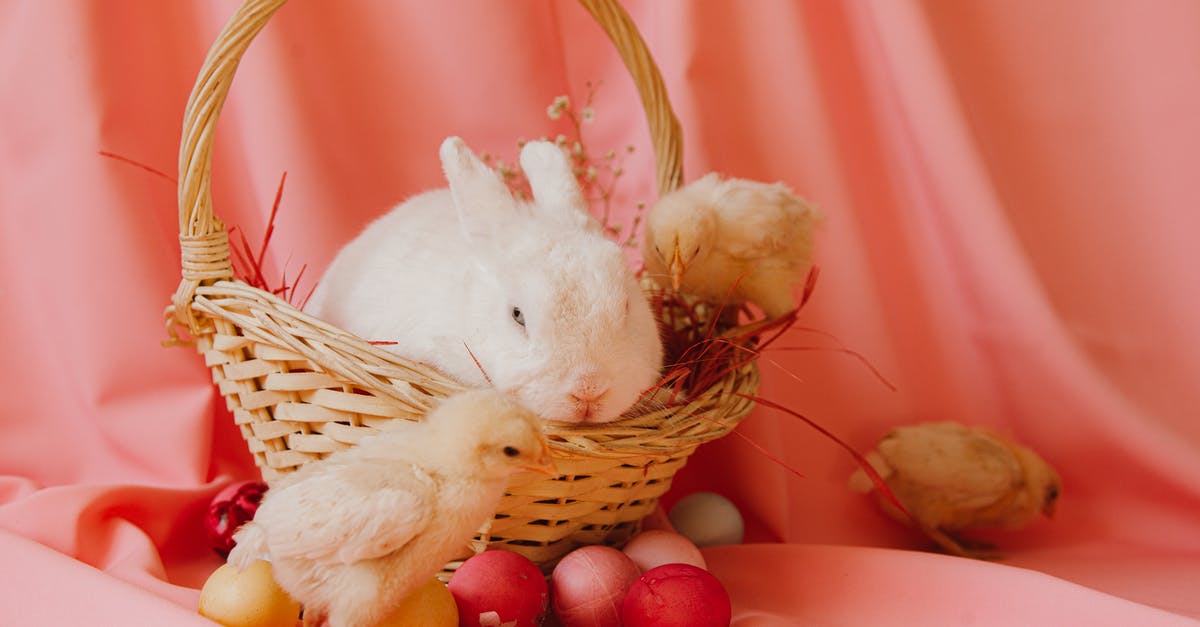 Pink Rabbit Blancmange origin? - White Rabbit on Brown Woven Basket Pink Rabbit Blancmange origin? - White Rabbit on Brown Woven Basket