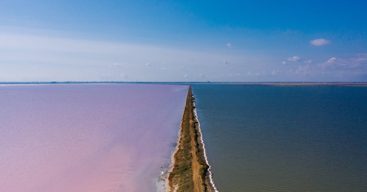 Pink Tinted Quinoa - Free stock photo of abstract, aerial, art Pink Tinted Quinoa - Free stock photo of abstract, aerial, art