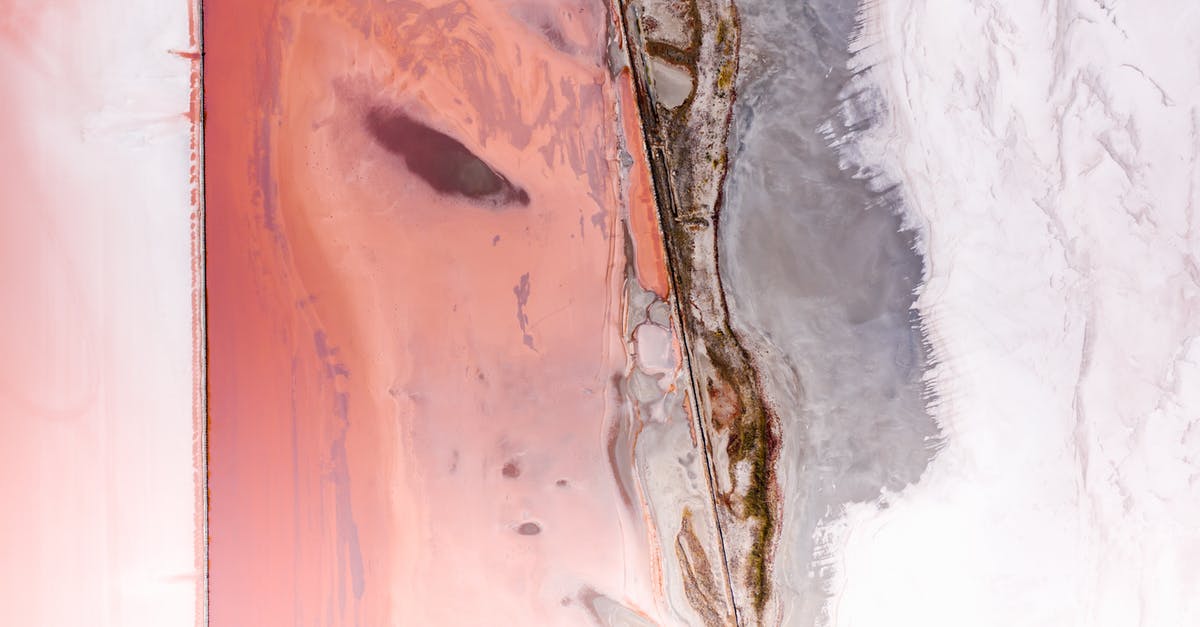 Pink Tinted Quinoa - Blue Water With White Bubbles Pink Tinted Quinoa - Blue Water With White Bubbles