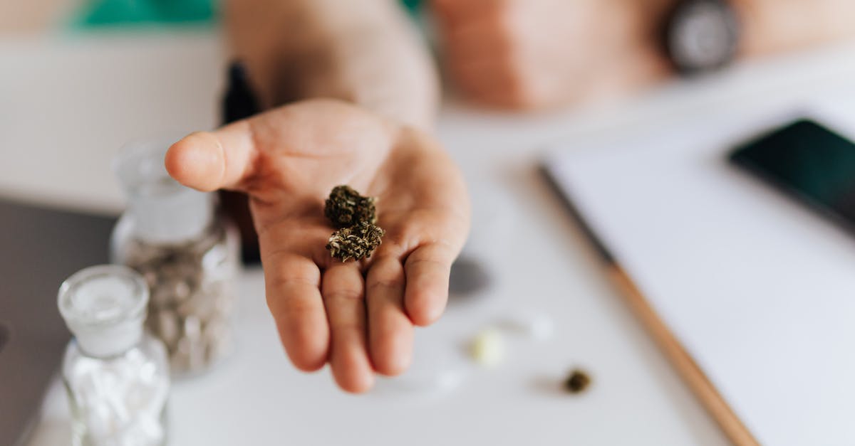Please help identifying this herb - Faceless medical worker showing sample of herbal medicine in hand while sitting at table Please help identifying this herb - Faceless medical worker showing sample of herbal medicine in hand while sitting at table