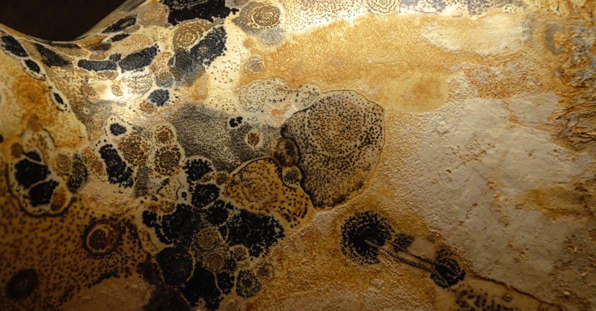 Possible Pumpkin Flavors - Closeup of textured yellow shaped pumpkin peel with dark spots creating patterns in room during harvest season in rural terrain Possible Pumpkin Flavors - Closeup of textured yellow shaped pumpkin peel with dark spots creating patterns in room during harvest season in rural terrain