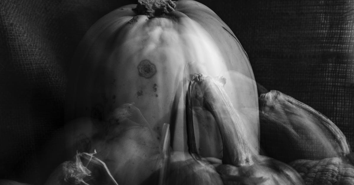 Possible Pumpkin Flavors - Black and white double exposure of assorted types of pumpkins placed on textile in room during harvest season in countryside Possible Pumpkin Flavors - Black and white double exposure of assorted types of pumpkins placed on textile in room during harvest season in countryside