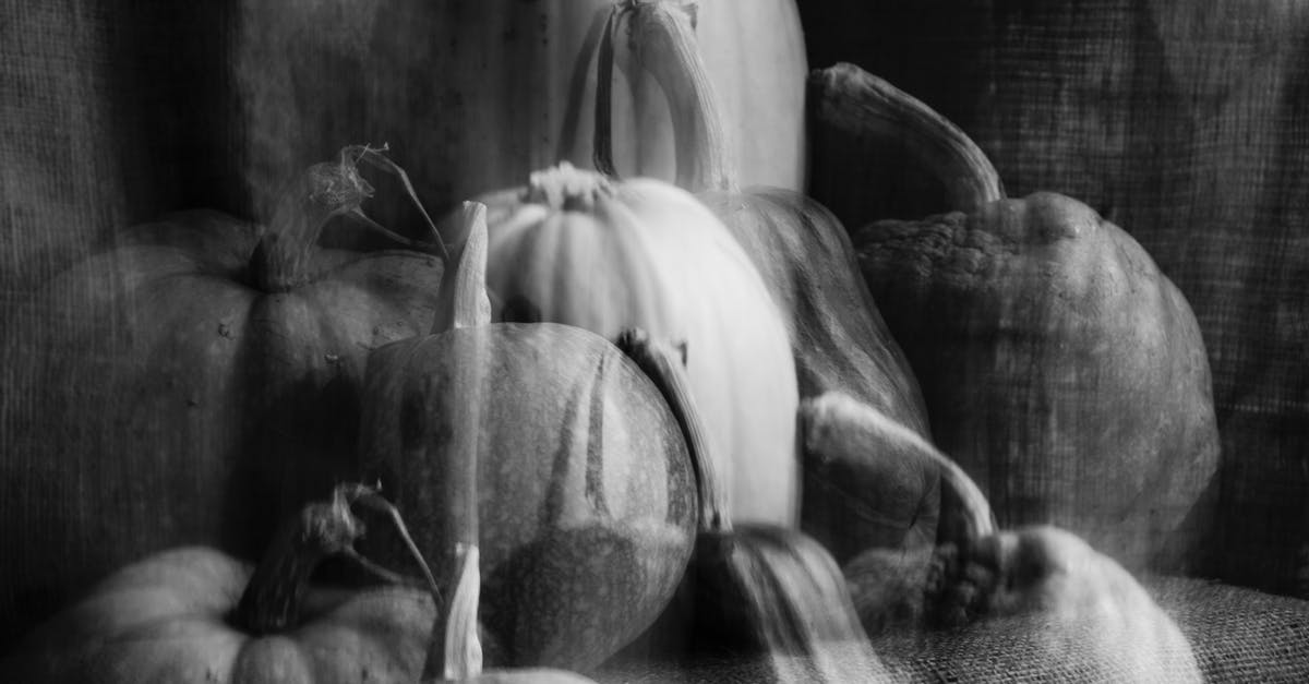 Possible Pumpkin Flavors - Black and white double exposure heap of fresh pumpkins with tails in different sizes placed on textile during harvest season Possible Pumpkin Flavors - Black and white double exposure heap of fresh pumpkins with tails in different sizes placed on textile during harvest season