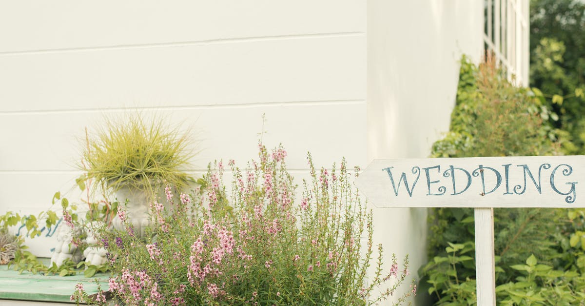 Post-marinade (Seasoning?) - Wedding Sign Near House With Green Plants Post-marinade (Seasoning?) - Wedding Sign Near House With Green Plants