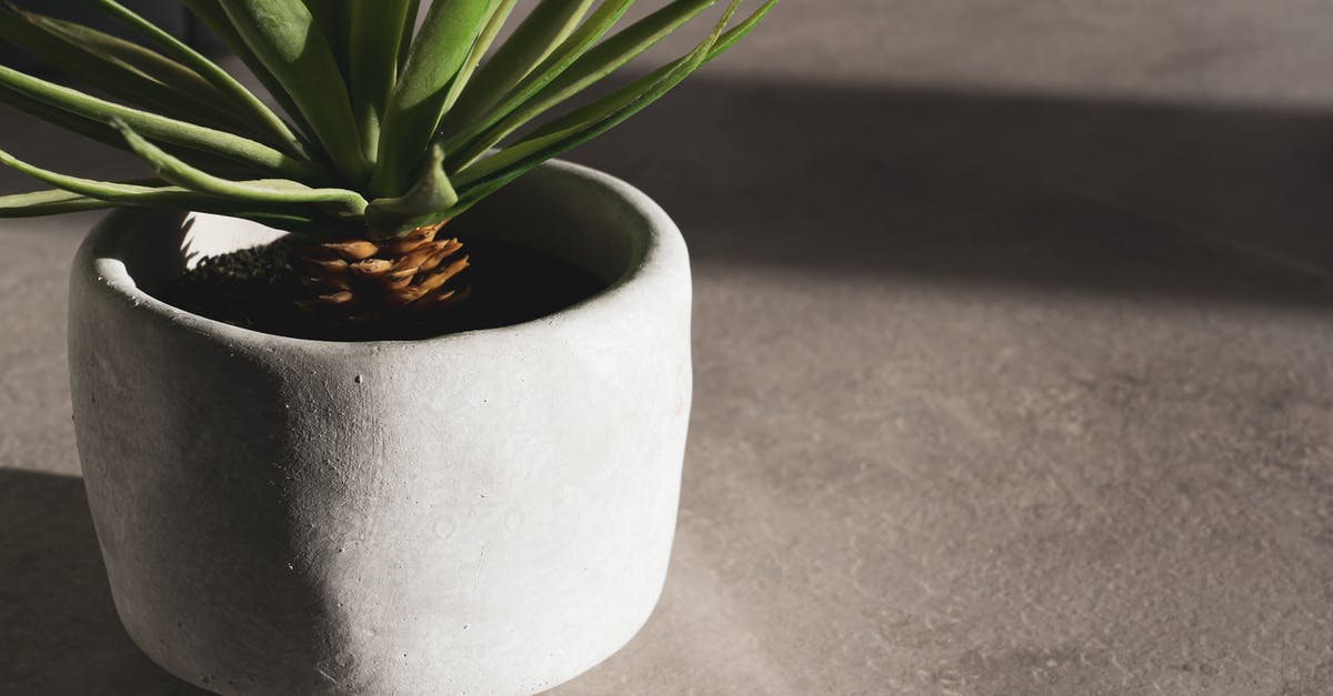Pot selection for fudge - Green Plant on White Round Pot Pot selection for fudge - Green Plant on White Round Pot