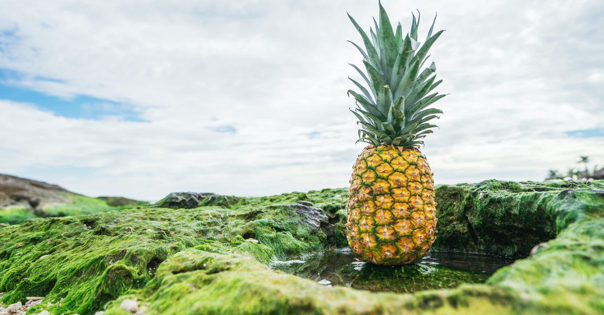 Preserving Nerds / Pop Rocks so they activate in the mouth and not in the food - Yellow Pineapple Preserving Nerds / Pop Rocks so they activate in the mouth and not in the food - Yellow Pineapple