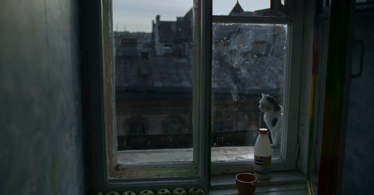 Preserving small amounts of milk - Cat and apples on windowsill in morning Preserving small amounts of milk - Cat and apples on windowsill in morning